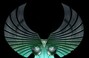File:Romulan.jpg