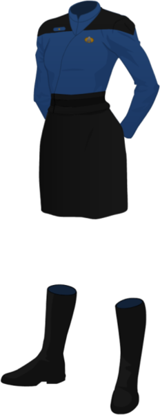 File:Female Wraparound Uniform - Blue - Skirt.png